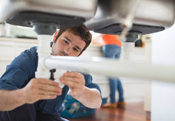 Best Local Plumber Services  in Bliss Corner, MA